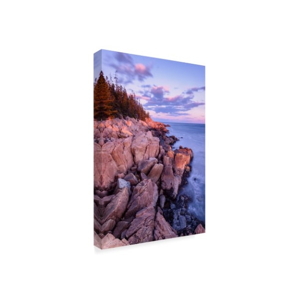 Michael Blanchette Photography 'Granite Coastline' Canvas Art,16x24